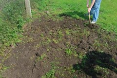 e355b635-e33f-454e-86b9-a42ef622370c