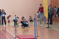 278013908_509159227468726_5211272388502927528_n