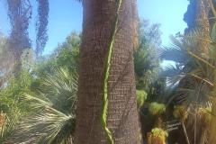 495538008_693668396856275_2524691900392556915_n