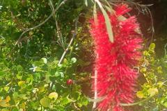 497944780_693668483522933_2489177775936741439_n