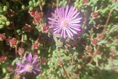 498289402_693668450189603_345694898351502435_n