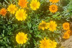 499789181_693668390189609_7353165915928919299_n