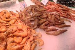 500241005_692993373590444_8784837392672625053_n