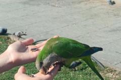 500314946_692993533590428_4192633620111062805_n