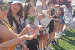 500449954_692993800257068_9125269972090356165_n