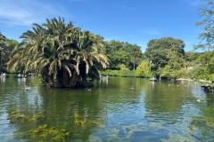 500480568_692994170257031_509796222982812512_n