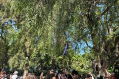 500682398_692993900257058_6253925504575653634_n