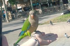 500693059_692993503590431_4875855646598024_n