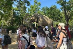 500710748_692994083590373_6540118276264803433_n