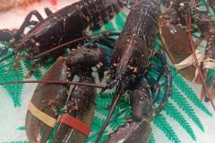 500718809_692993303590451_4158440002656985473_n