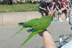 500776403_692993473590434_2395057712661937926_n