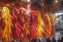 500810445_692993203590461_5635636744342043317_n