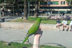 500955060_692993756923739_567888346538388896_n