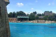 501266521_694481053441676_4402830705858677534_n