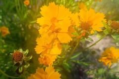 502176904_693668673522914_7453100752831745409_n