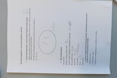 1_IMG_20250328_121101