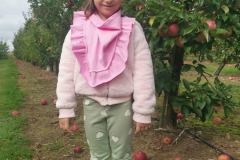 05e786e6-7dd5-477b-ab1c-f53291cc81e7