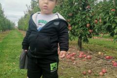 3860decf-0b93-4020-9b10-d3b8f8e390fb