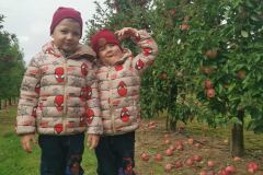 3a74a666-1b9f-4435-811b-1493e34a1e05