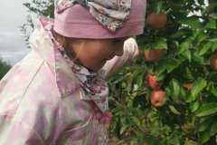 45324418-d8c3-470d-baa9-7fa5c5340772