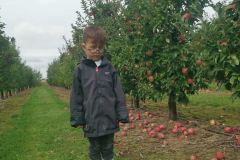 581ea5a6-463a-4ea2-9361-b90750c34fb4