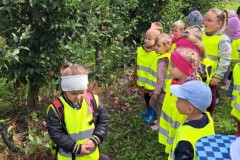 78416d7e-2661-4ea5-a3c7-0a3c48fed875