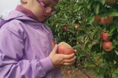 8dadc915-dc52-4444-a565-338223ad2acc