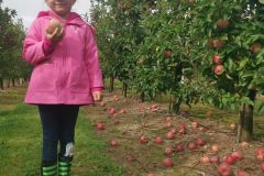 a4b5fefb-1b52-4c16-be10-1deb8cccc8a7