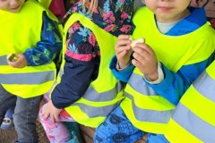 c01ec85d-69b7-4a1c-8081-0a76e99ed29f