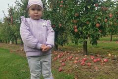 c1013968-68a4-4474-8330-37e0375655e6