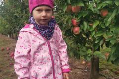 c4988ed2-47ae-4824-860a-ebaff4a0d546