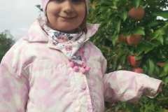 d229c532-2b69-48fe-9dfc-d4c1ade94917