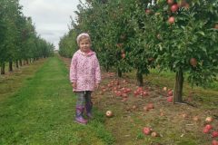 d4ce6cd2-90ca-42ce-8f43-27ae79a7cbbb