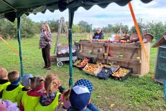 d8a7374f-ef34-4b0e-8095-b8b7a84ffdbe