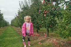 f16f939a-4de6-42d3-ba6e-6ac5adf6417f