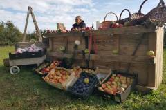 f1dae099-d0d2-400e-8fee-f238ad48813d