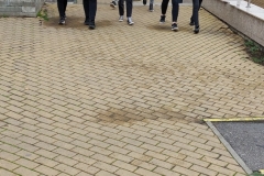 277681658_693766225151673_2782472758122873467_n